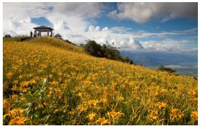 公告修正「專利審查基準第一篇程序審查及專利權管理」之第5章、第6章、第7章及第8章，並自中華民國105年7月1日生效