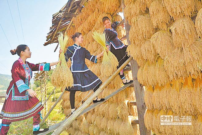 廣西9農產品 再獲地理標誌商標