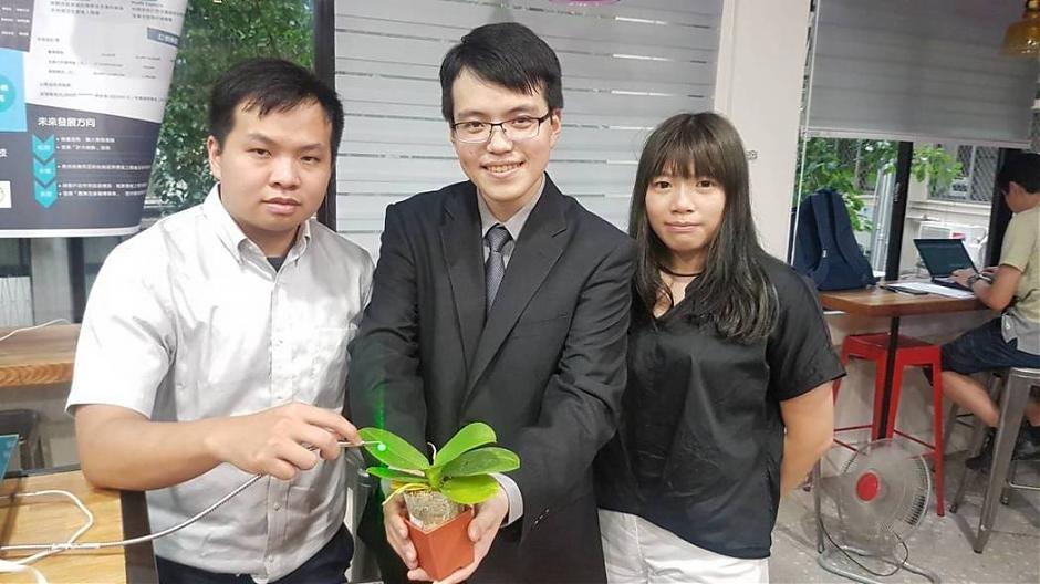 測出蘭花病毒只要3秒鐘！台師大新創技術獲專利