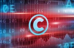 著名商標権の範囲