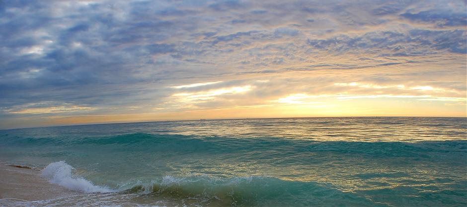 判例紹介 新型コロナは原状回復申請の理由とは認められない